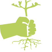 Як боротися з амброзією